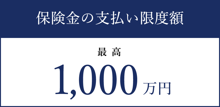 保険金の支払い限度額 最高1000万円